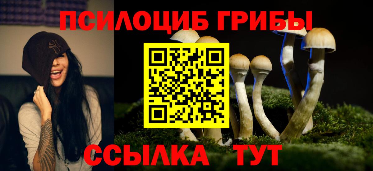 Оренбург  Псилоцибиновые грибы мицелий  Вход с VPN 